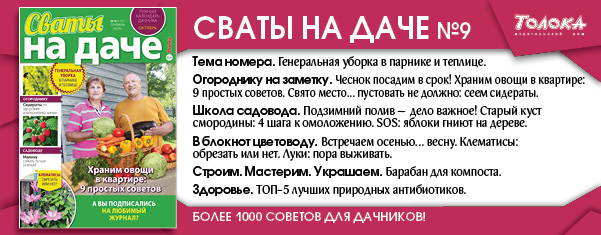 СВД 9